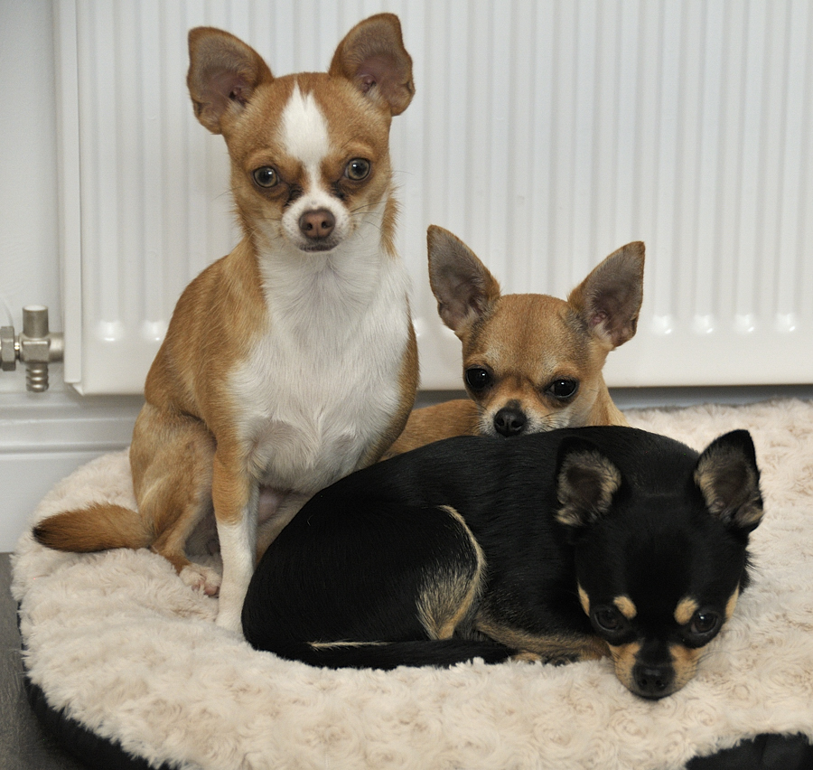 Describe the photo or the page it links to